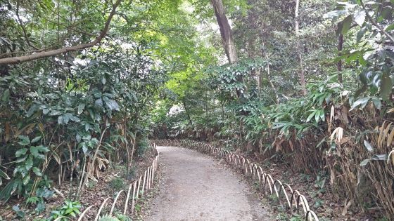 9.24...明治神宮1.JPG