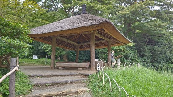9.24...明治神宮10.JPG
