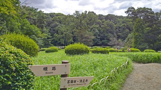 9.24...明治神宮3.JPG
