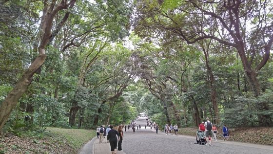 9.24明治神宮1.JPG