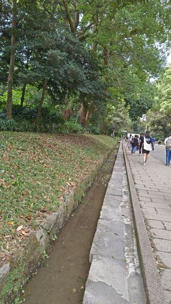 9.24明治神宮9.JPG