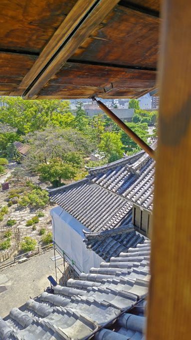 9.24松本城5.JPG