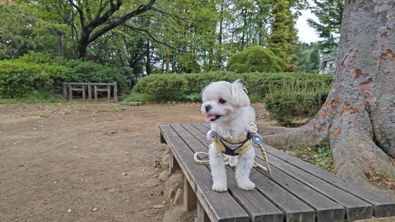 9.30マル.5.JPG