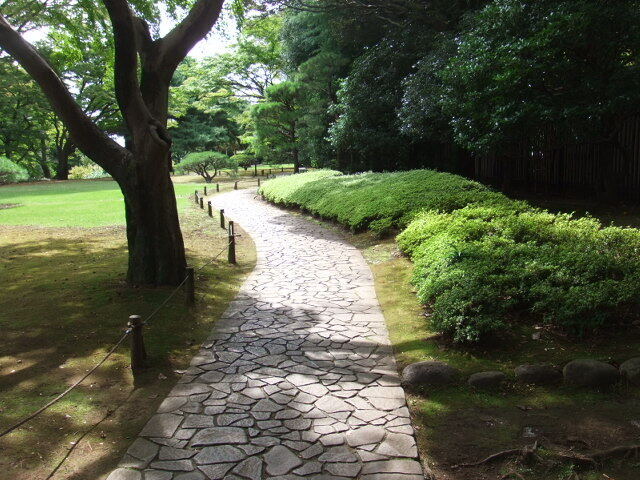 DSCF4333.JPG