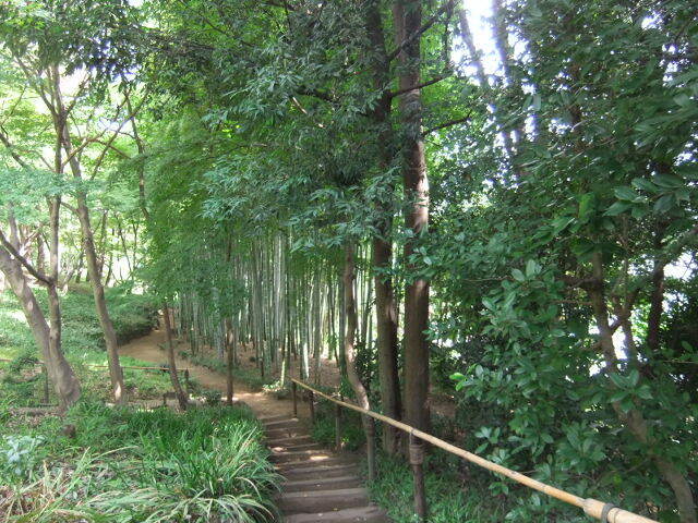 DSCF4339.JPG