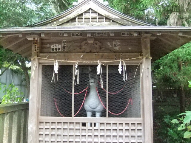 DSCF4372.JPG