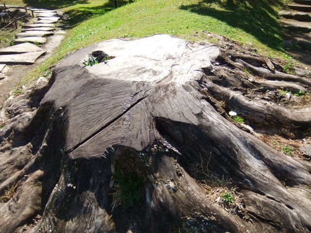 DSCF4419.JPG