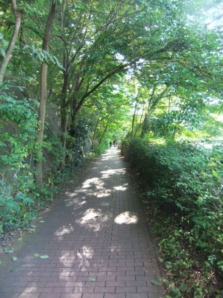おちあい川歩道2.JPG