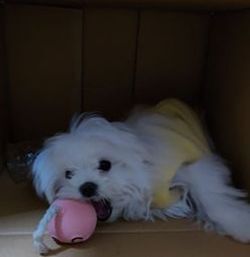 お気に入り.JPG