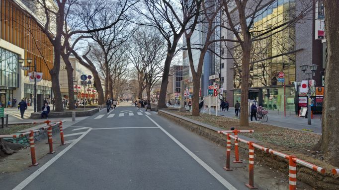 けやき並木通り.JPG
