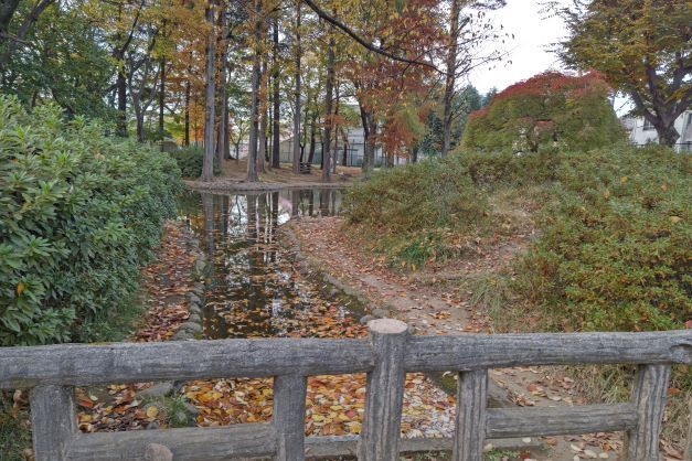つつじ公園10.JPG
