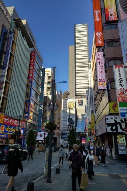 コマゴジラ.JPG