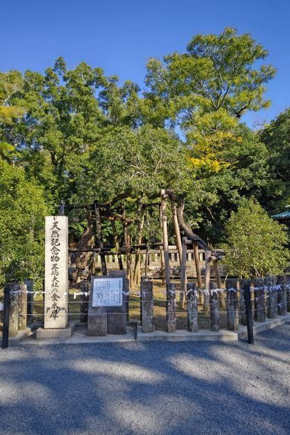 三島大社11.JPG