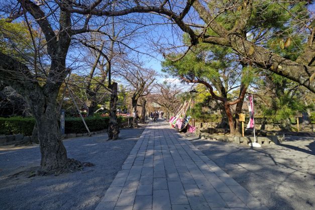 三島大社24.JPG