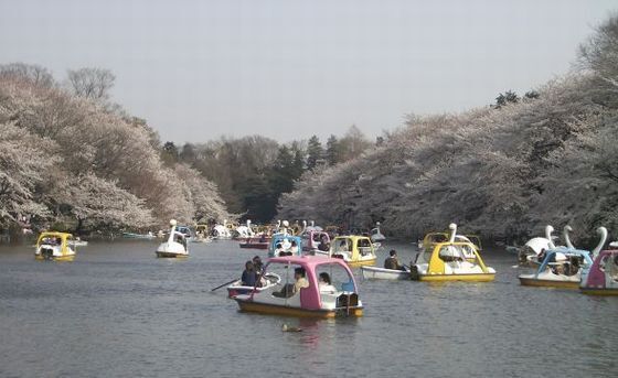 井の頭公園昔.JPG