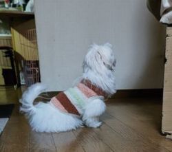 兄のお帰り.JPG