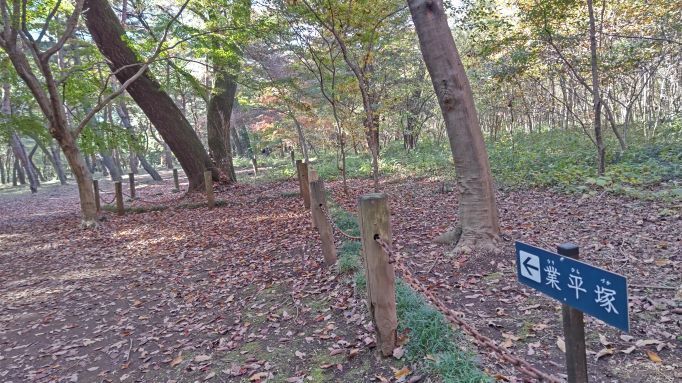 平林寺..11.JPG