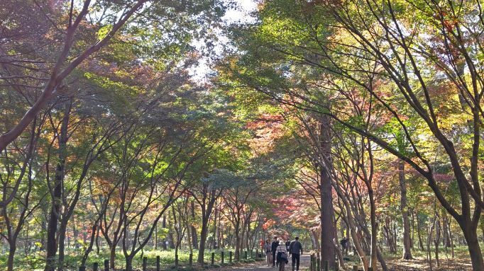 平林寺..19JPG.JPG