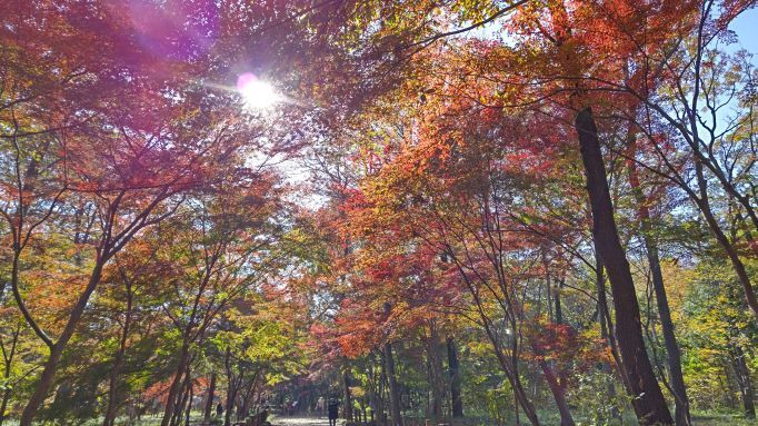 平林寺..20JPG.JPG
