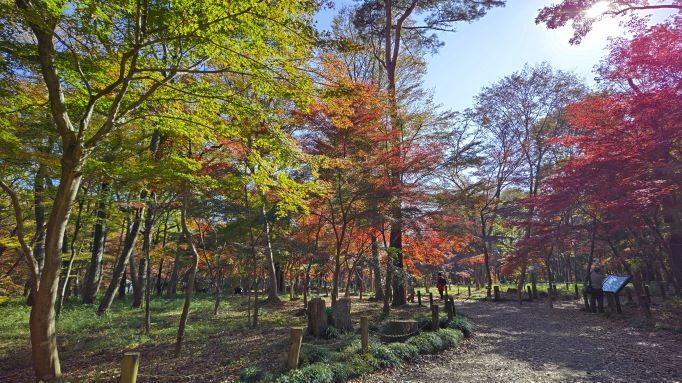 平林寺..22.JPG