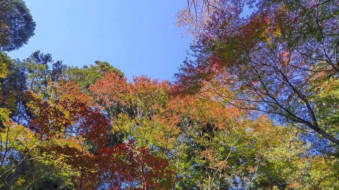 平林寺..2JPG.JPG