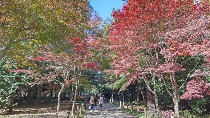 平林寺..3JPG.JPG