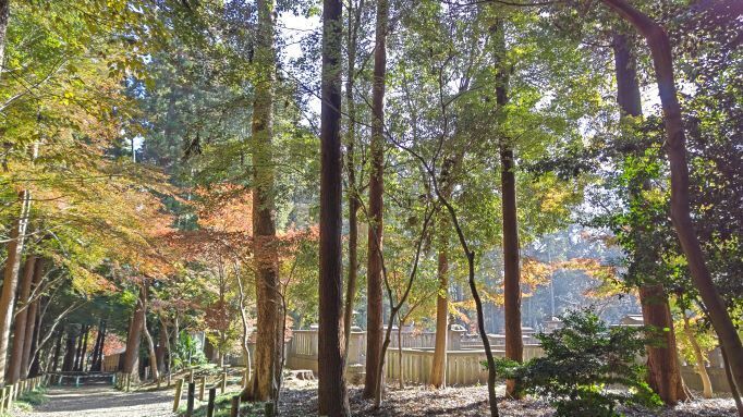 平林寺..8.JPG