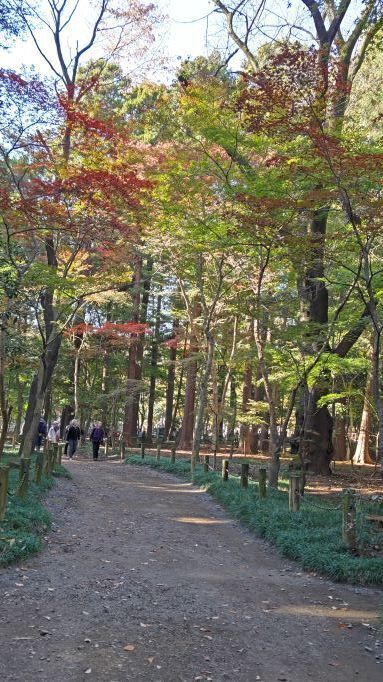 平林寺..JPG