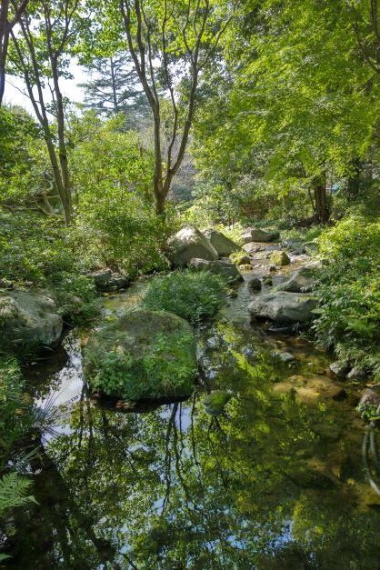 日本庭園.JPG