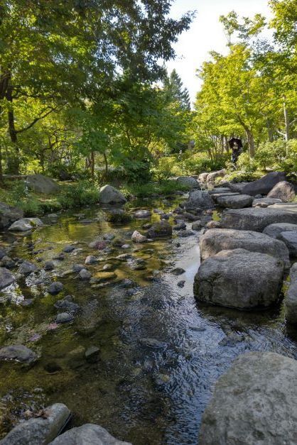 日本庭園7.JPG
