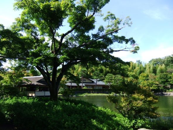 日本庭園休憩所1.JPG