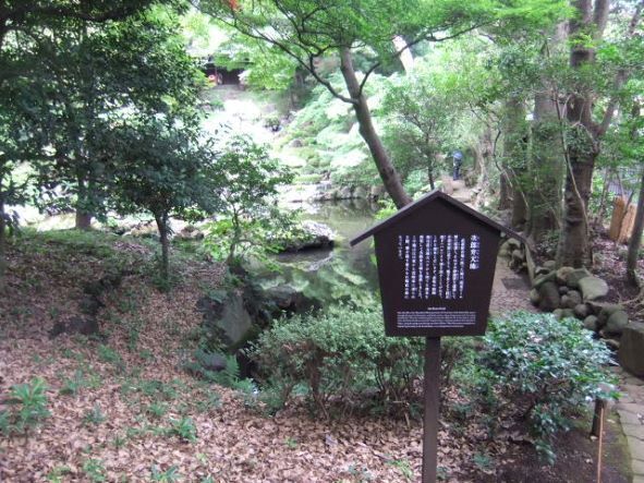 殿ヶ谷戸22.JPG