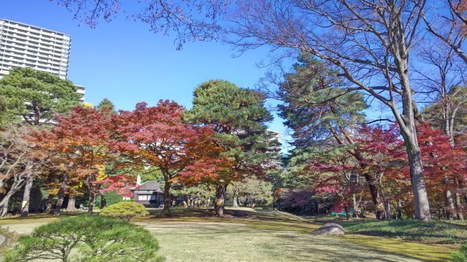 殿ヶ谷戸6.JPG