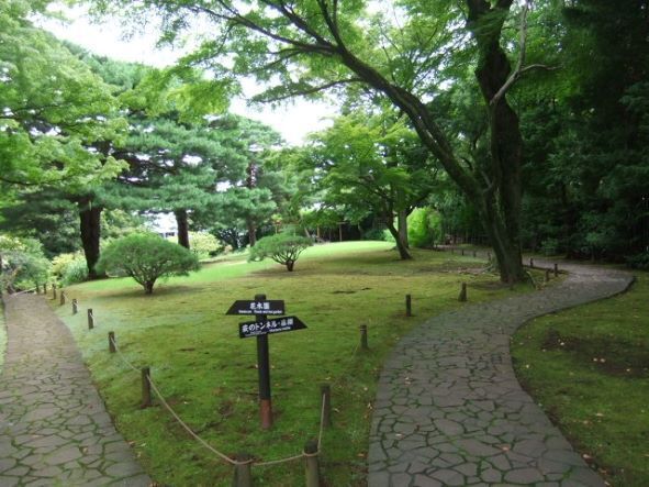 殿ヶ谷戸6.JPG