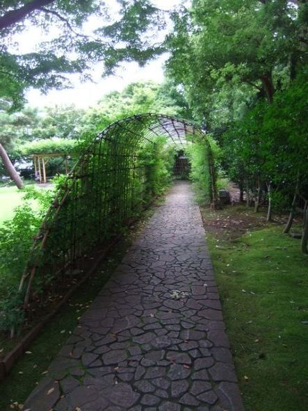 殿ヶ谷戸9.JPG