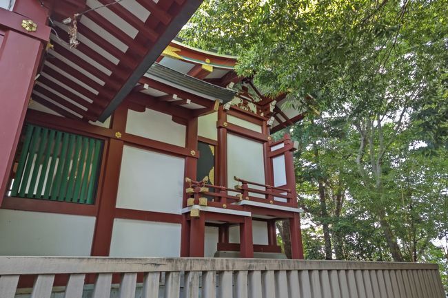 氷川神社2.JPG