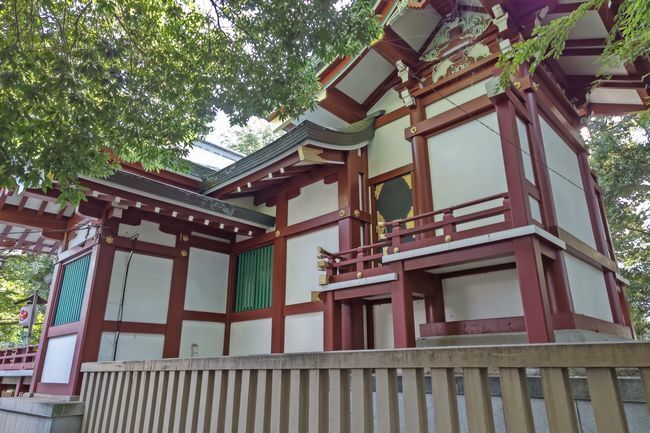 氷川神社4.JPG