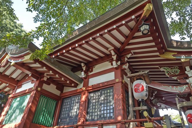 氷川神社9.JPG