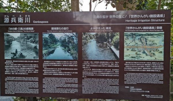源兵衛川4.JPG