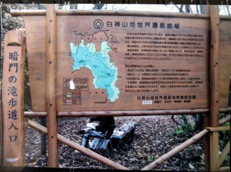 白神1.JPG