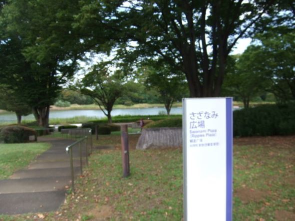 白鳥の池.JPG