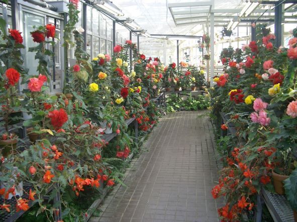 神代植物公園.JPG