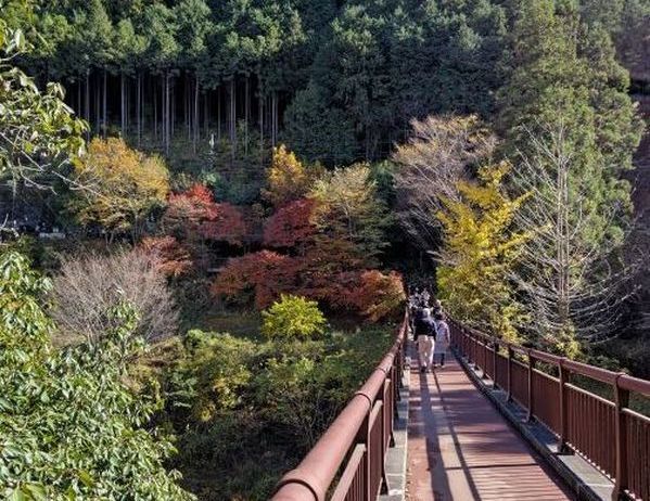 秋川渓谷14.JPG