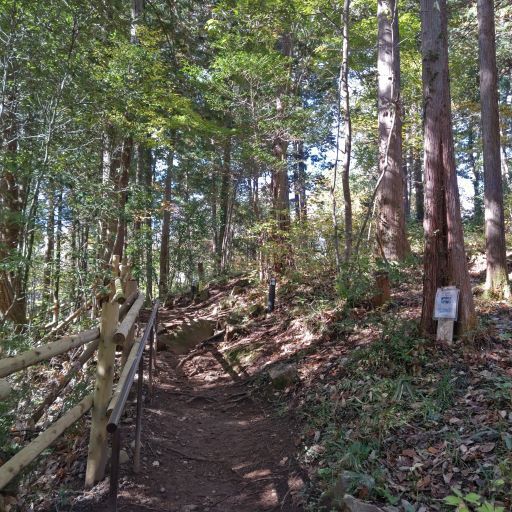 秋川渓谷17.JPG