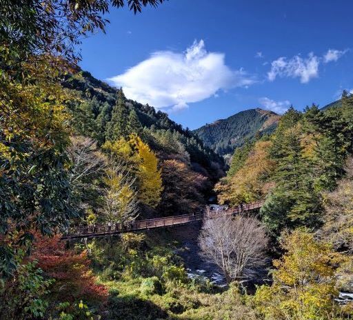 秋川渓谷2.JPG