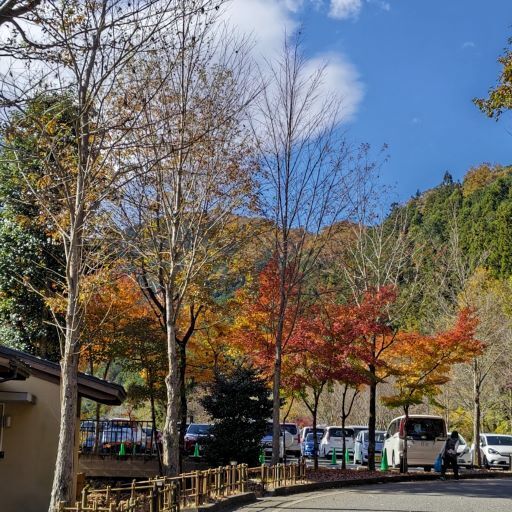 秋川渓谷27.JPG
