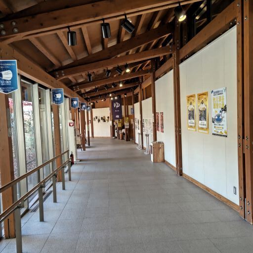 秋川渓谷31.JPG