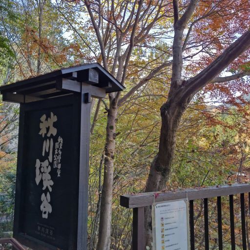 秋川渓谷7.JPG