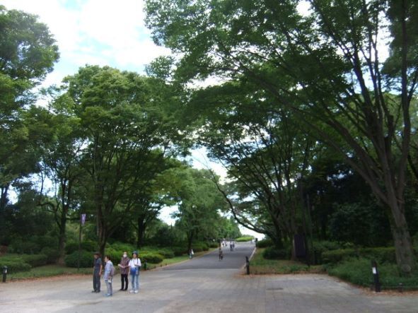 立川口から.JPG