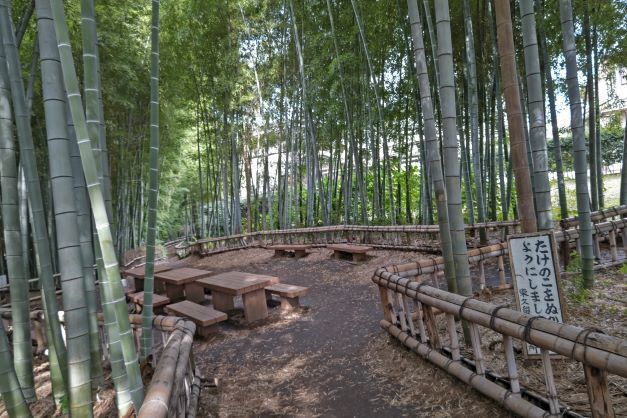 竹林12.JPG